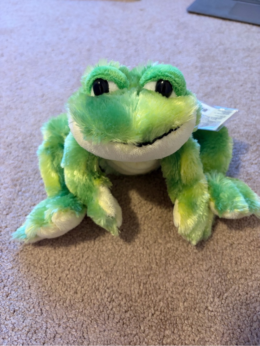 🫶 WEBKINZ - Frog Stuffed Animal Toy